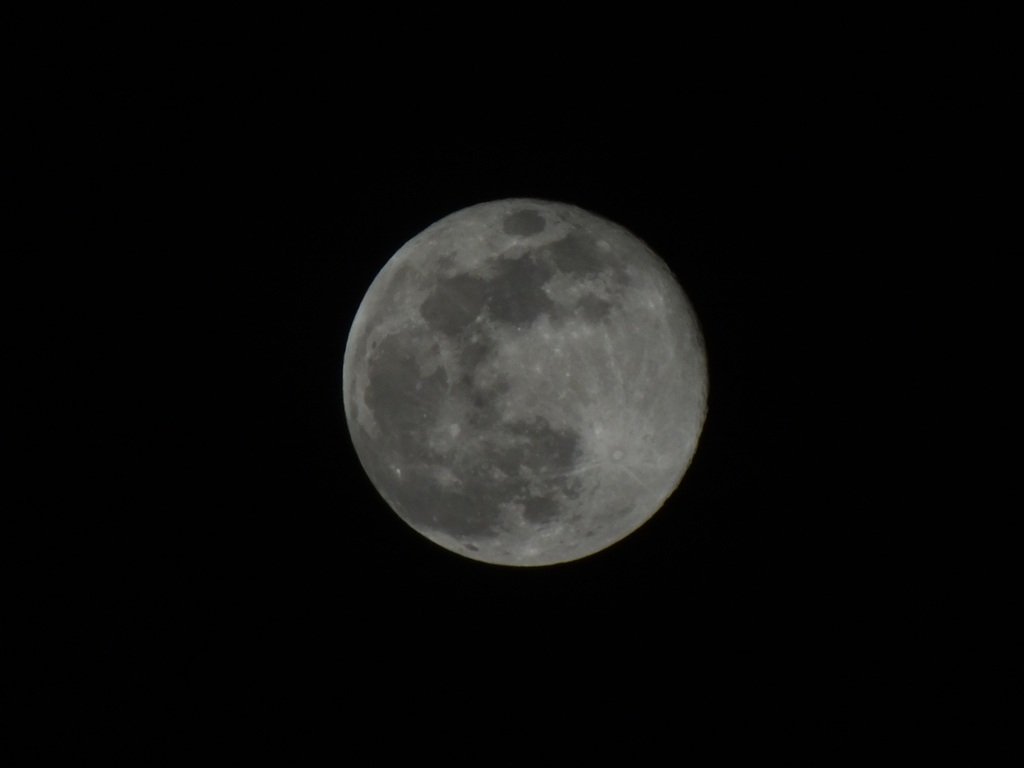 コールドムーン