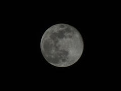 コールドムーン