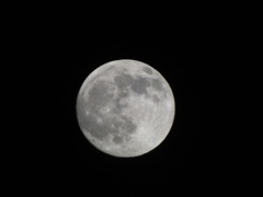 満月