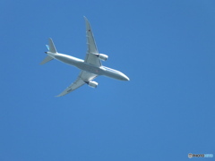 飛行機