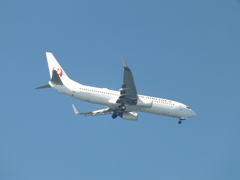 JAL