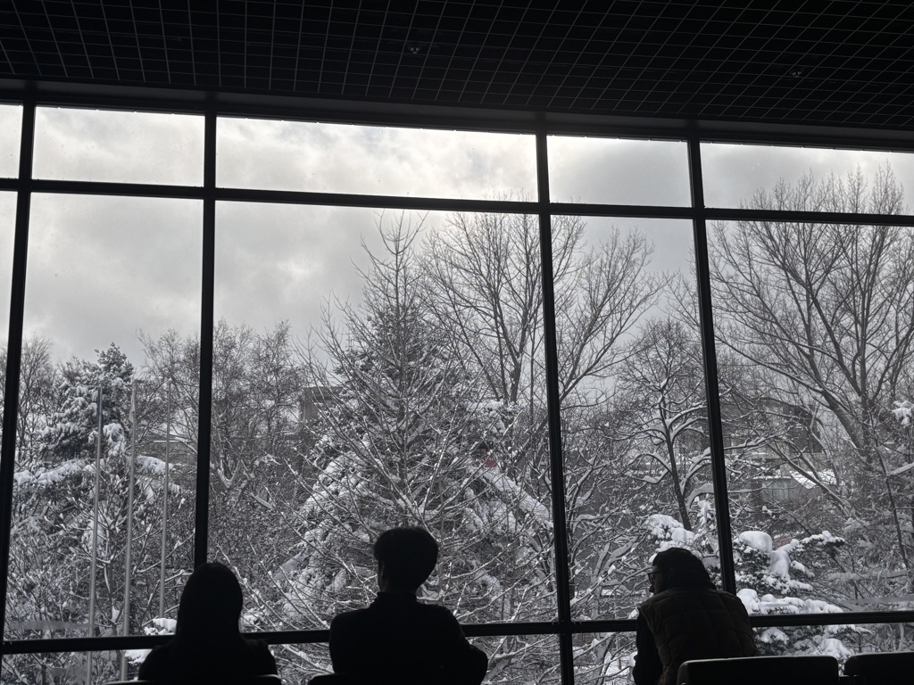 Snow View