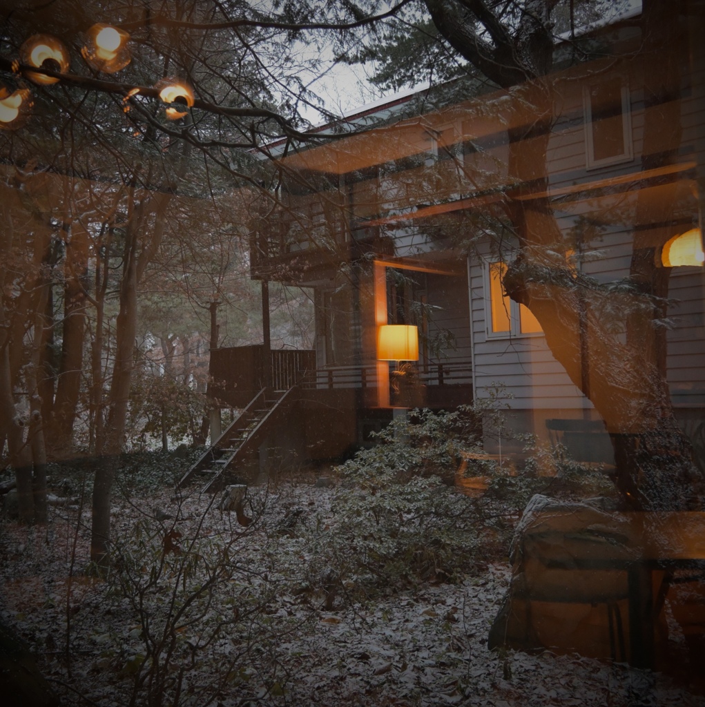 ガラス越しの冬