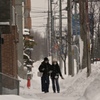雪の降る日に