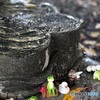 水辺の守り神