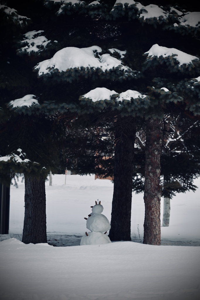ほっとする冬の居場所⛄️