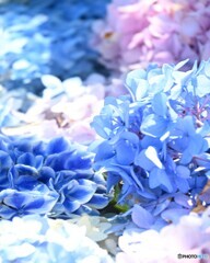 朝の祝福