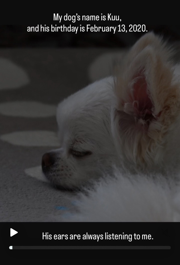 愛犬