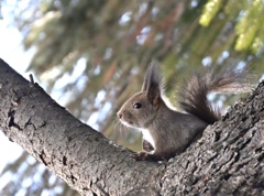 春の気配を嗅ぐ