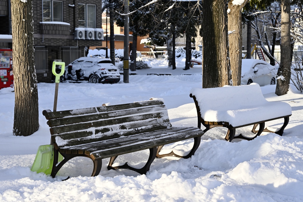 雪の特等席