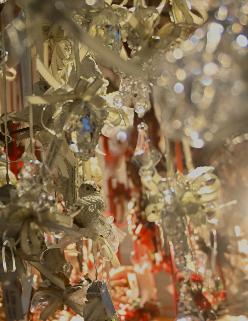 光の森の見張り役