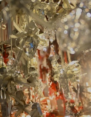 光の森の見張り役