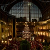 星降るアトリウム