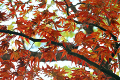 ここから…。 ここから…。