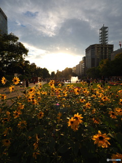 夕暮れの輝き