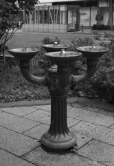 街角の水飲み場