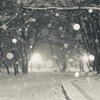 雪蛍 ー静かな夜のはじまりー