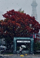 初雪 – 季節のバトンタッチ