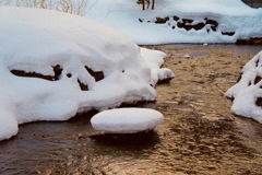 冬の浮島
