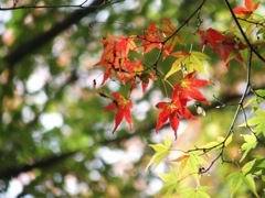 夏から秋の気配