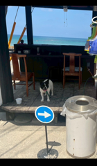 海の家