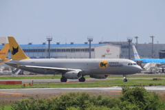 空飛ぶ黒猫　