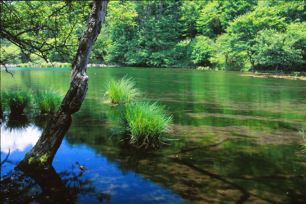 初夏の奥日光 光徳沼