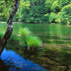 初夏の奥日光 光徳沼