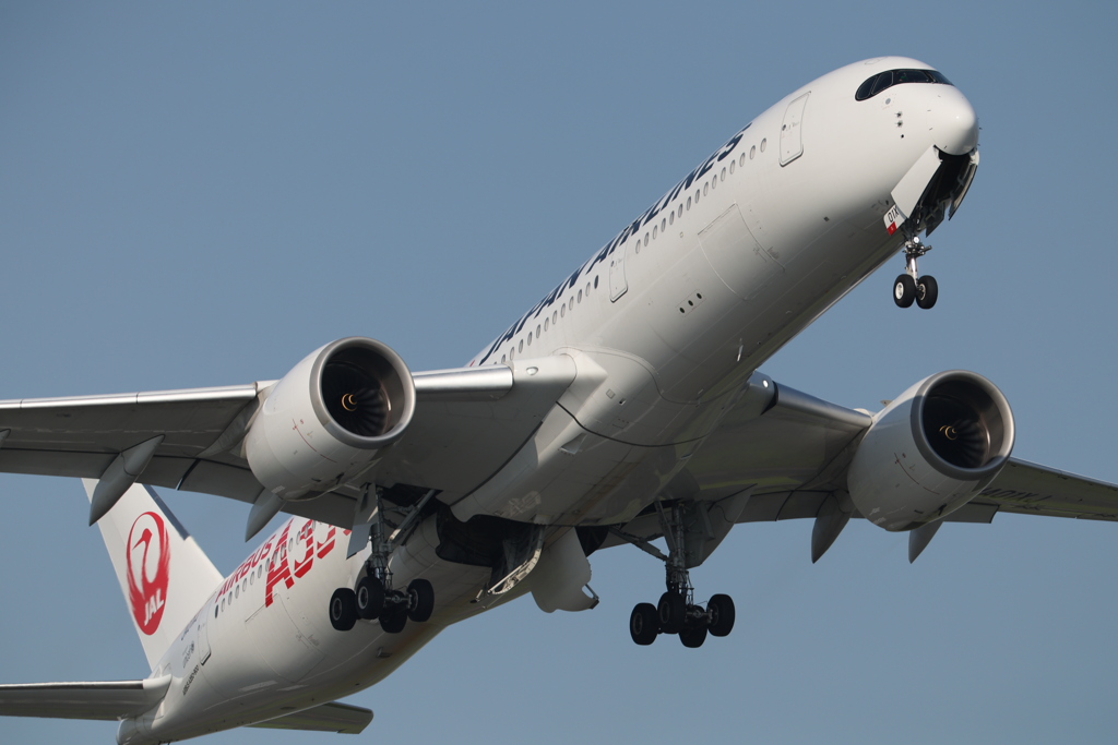 アゴヒゲアザラシ