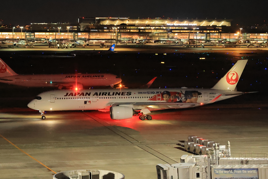 ショージェットタキシング