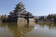 美しく佇む松本城