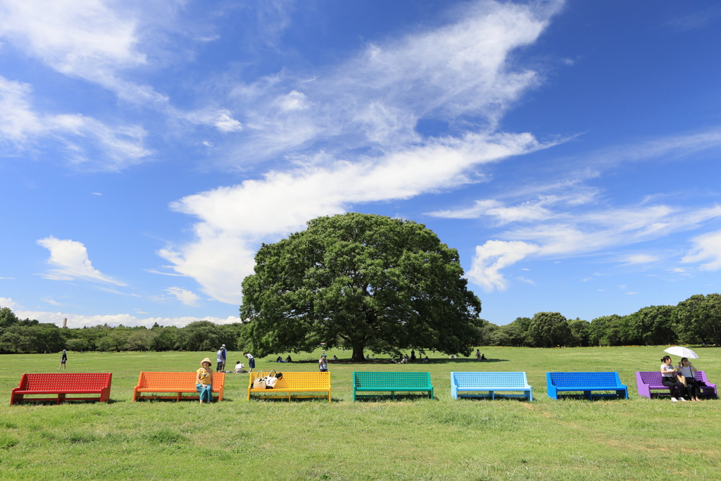 この木なんの木気になる木みたいな