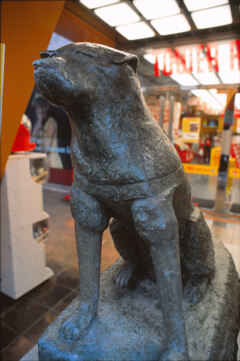 もう一つのハチ公像