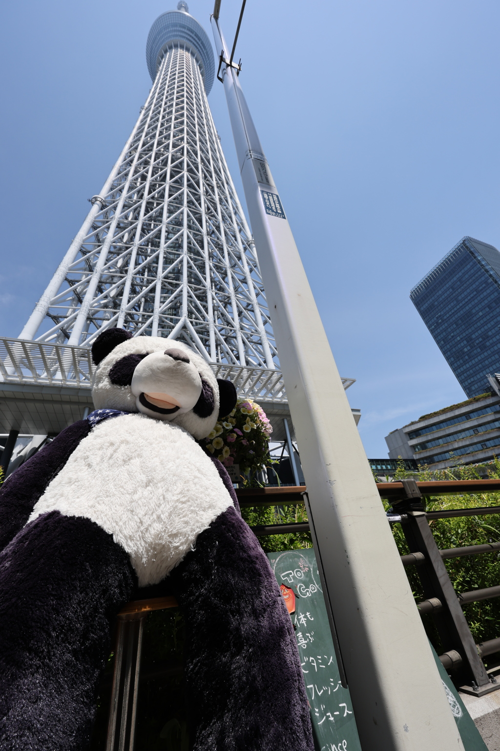 不敵な笑みのパンダ