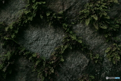 道端のアート