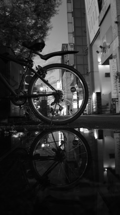 それっぽい写真