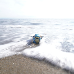 激流のカメックス