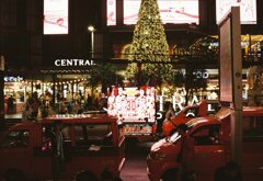 タイ プーケット パトン