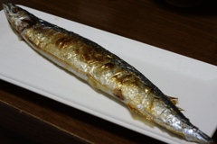 秋の味覚のイメージだけどよく考えたらまだ早いなと思うほどの気候変動