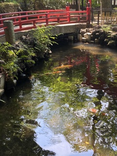 朱橋と池