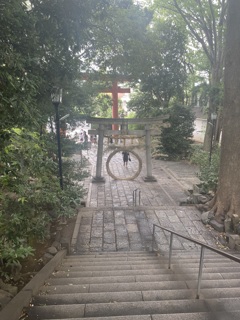 茅の輪くぐり