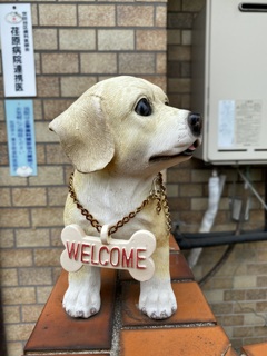 ウェルカム犬