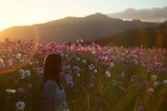 光の花束
