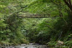 かずら橋