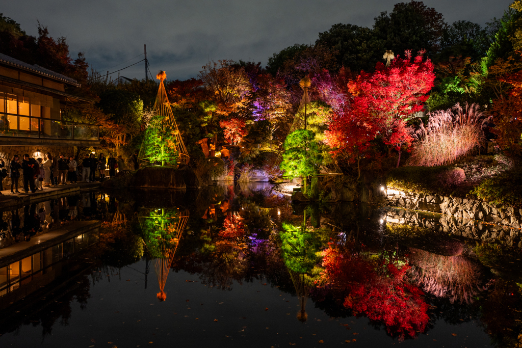 目白庭園 ライトアップ①