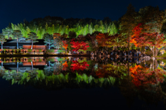 国営昭和記念公園　日本庭園④