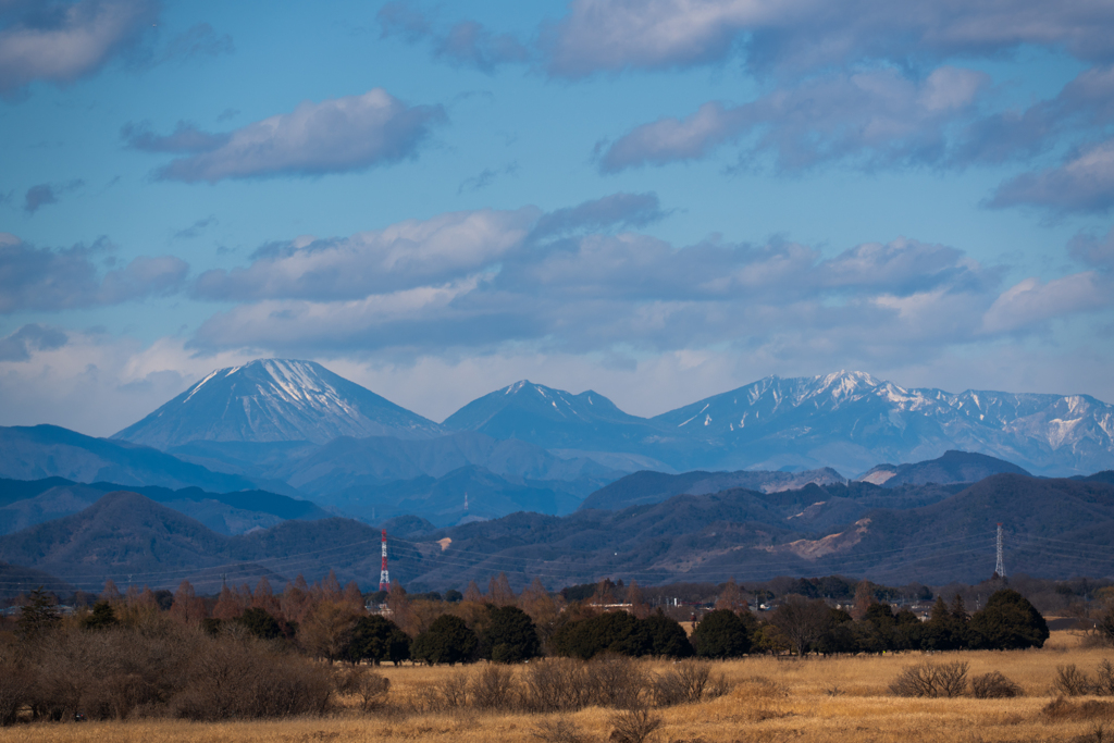 渡良瀬遊水地 再訪問①
