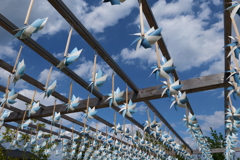川越氷川神社　縁むすび風鈴③