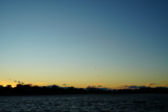 強風の夕暮れ③