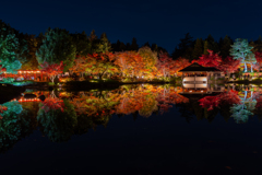 国営昭和記念公園　日本庭園③